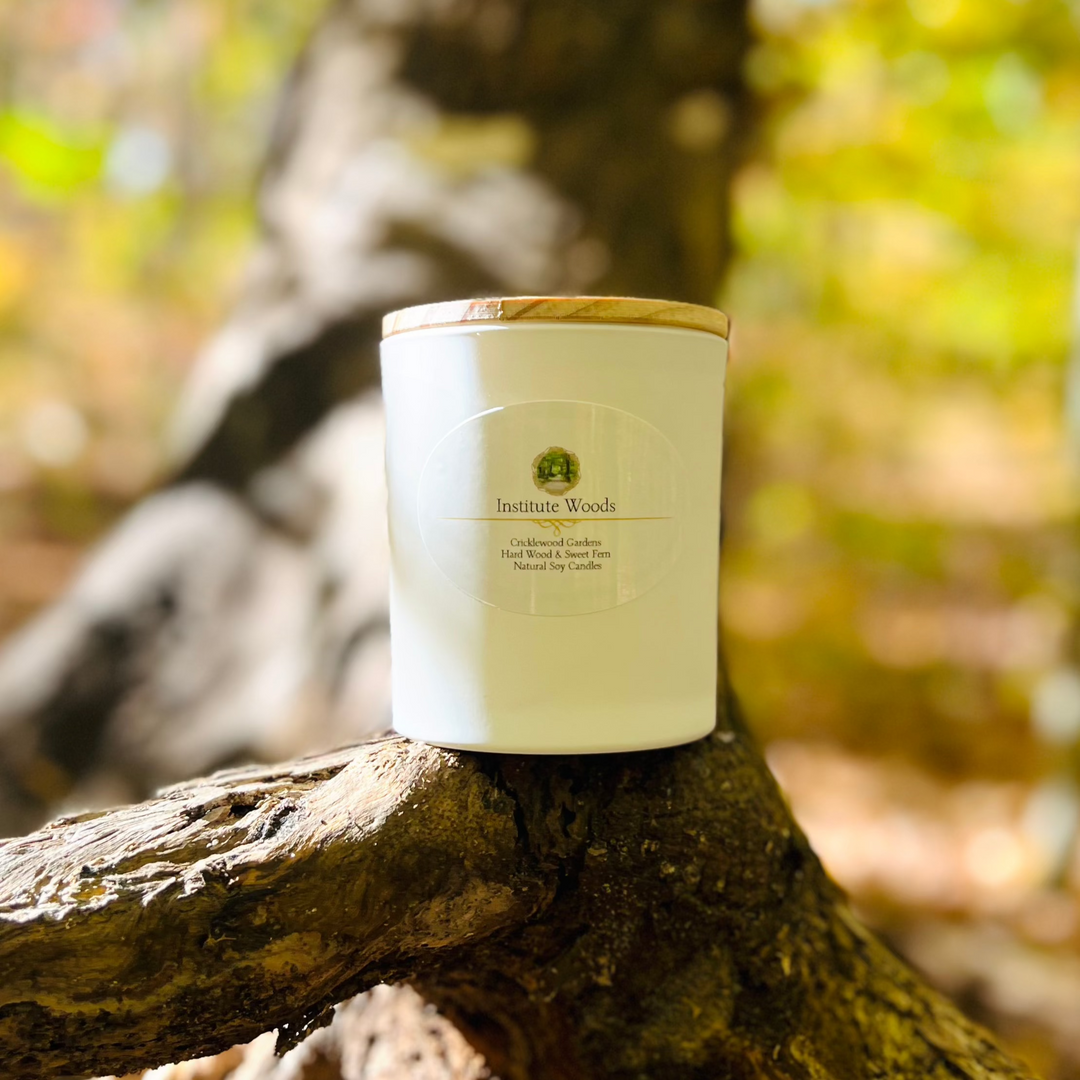 Institute Woods Natural Soy Candles